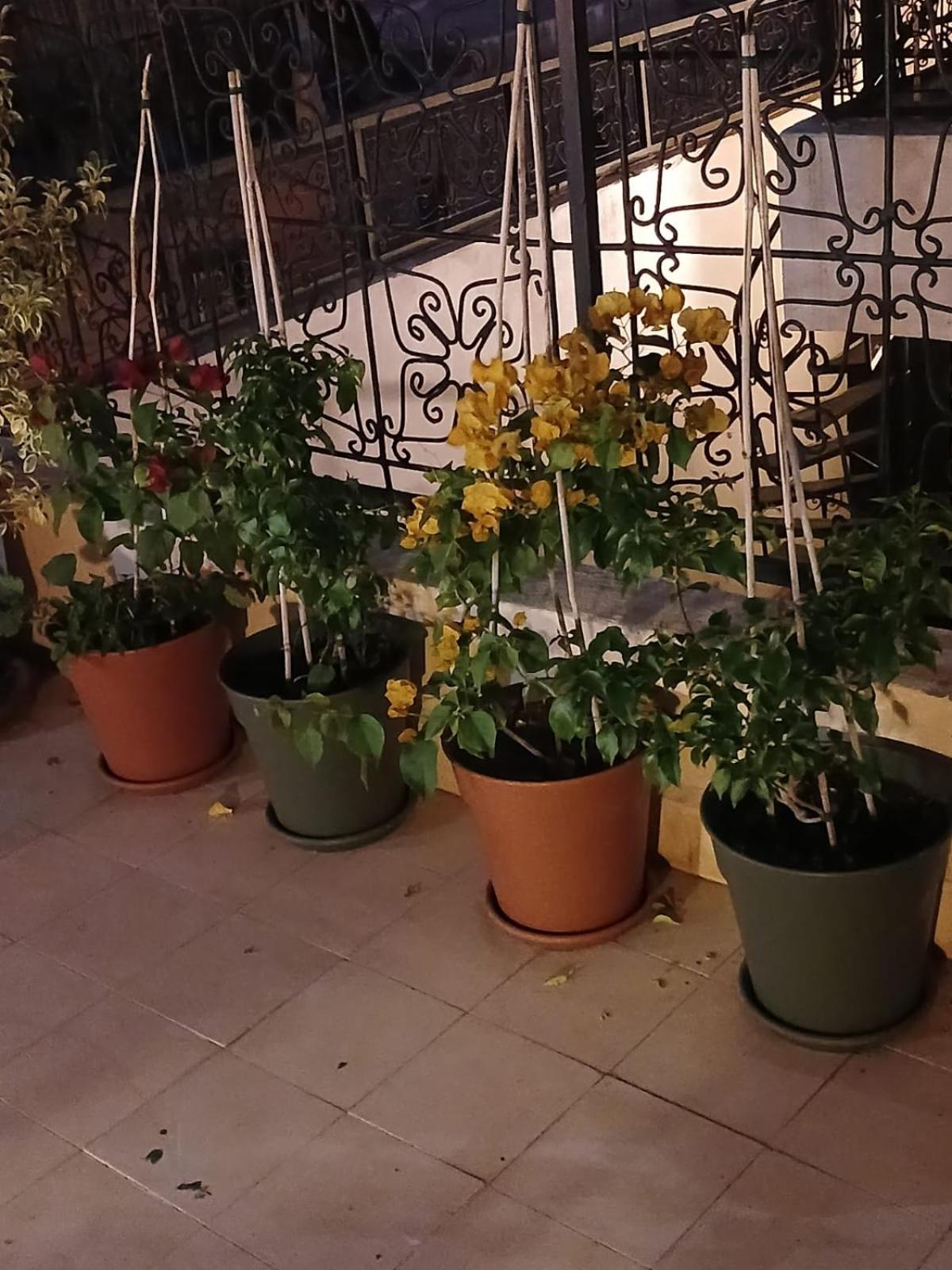 Riad Dantella Marrakesh Exterior foto